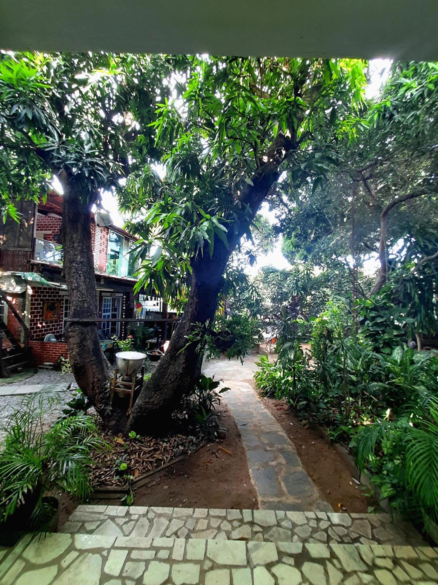 Casa De Temporada Das Mangueiras Olinda Kültér fotó